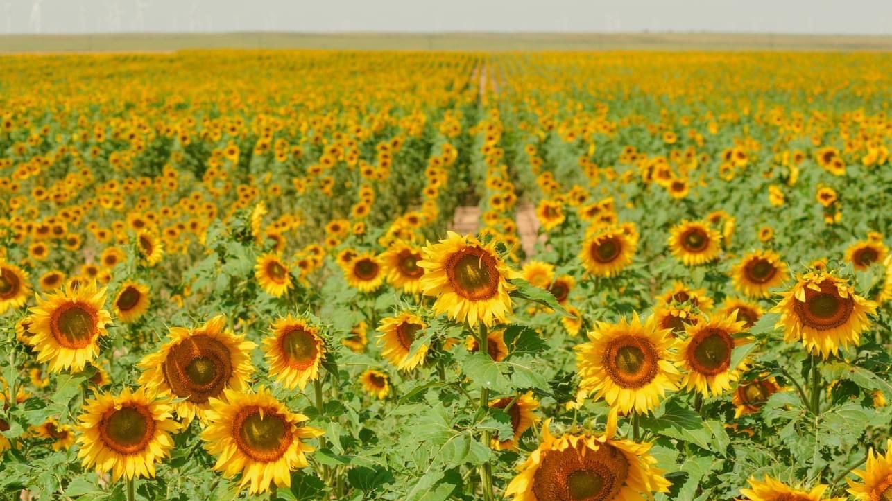 Hot weather continues until Thursday
