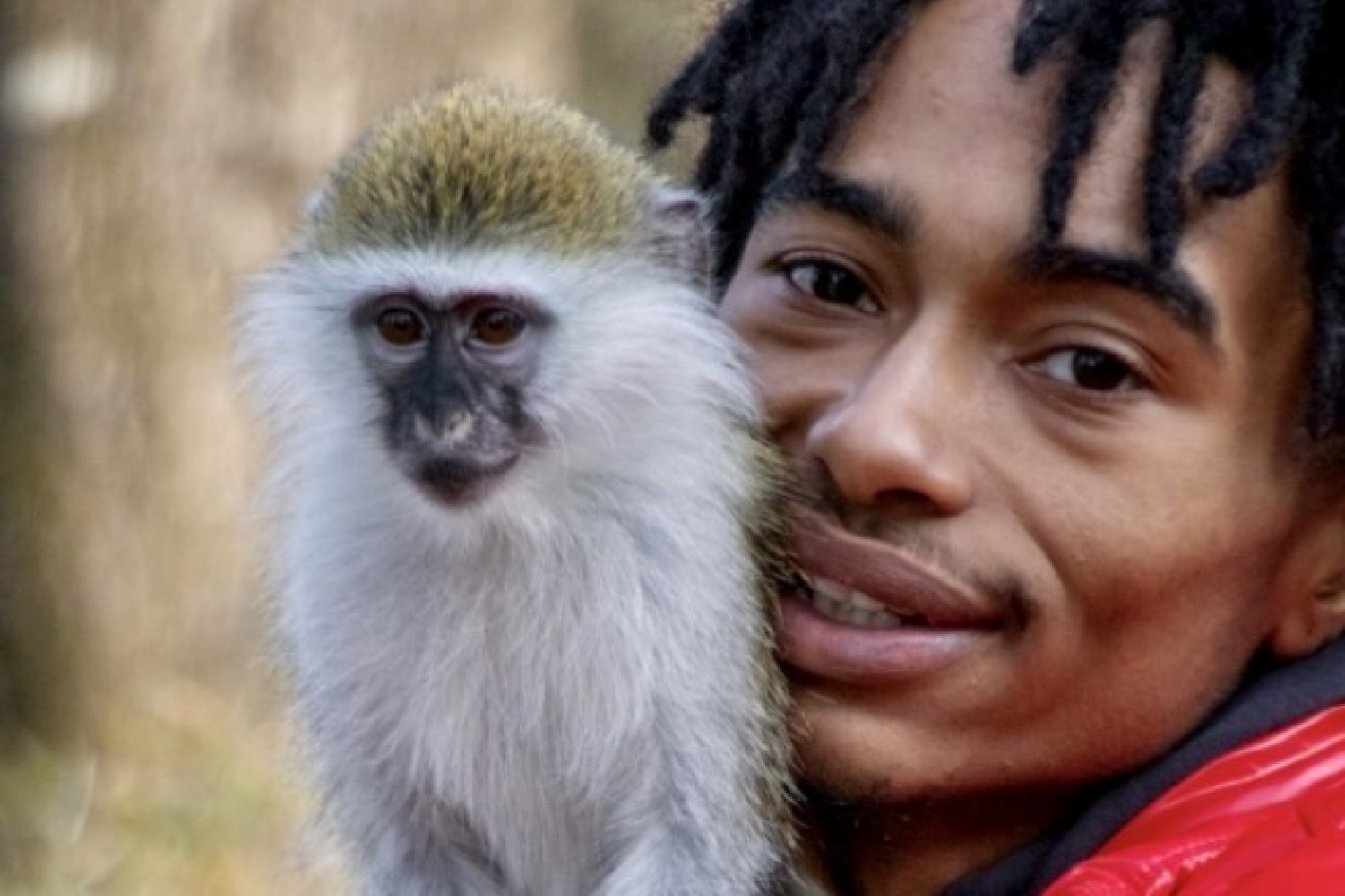 Monkey.jpeg
