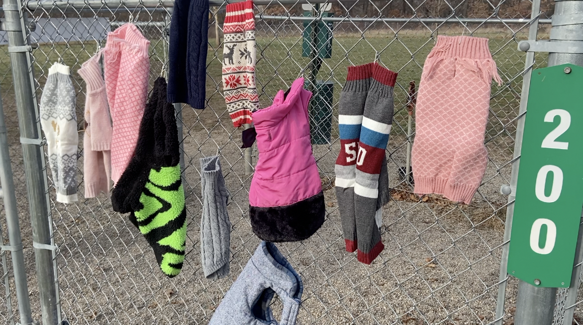 free doggie coats and sweaters at local dog park