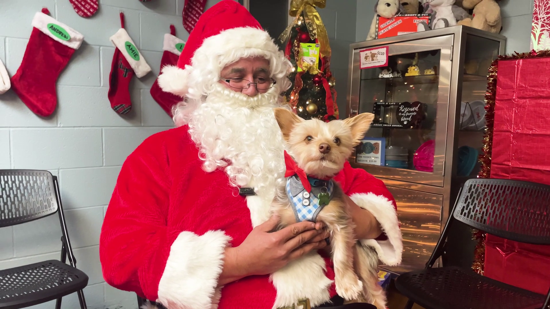 Great Falls Animal Shelter offering pet pix with Santa