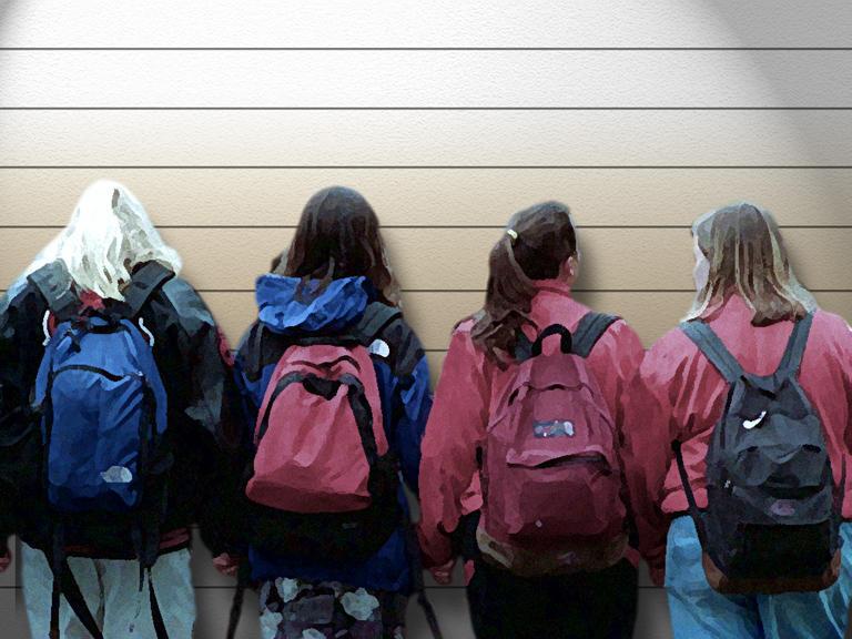 schools backpack AP