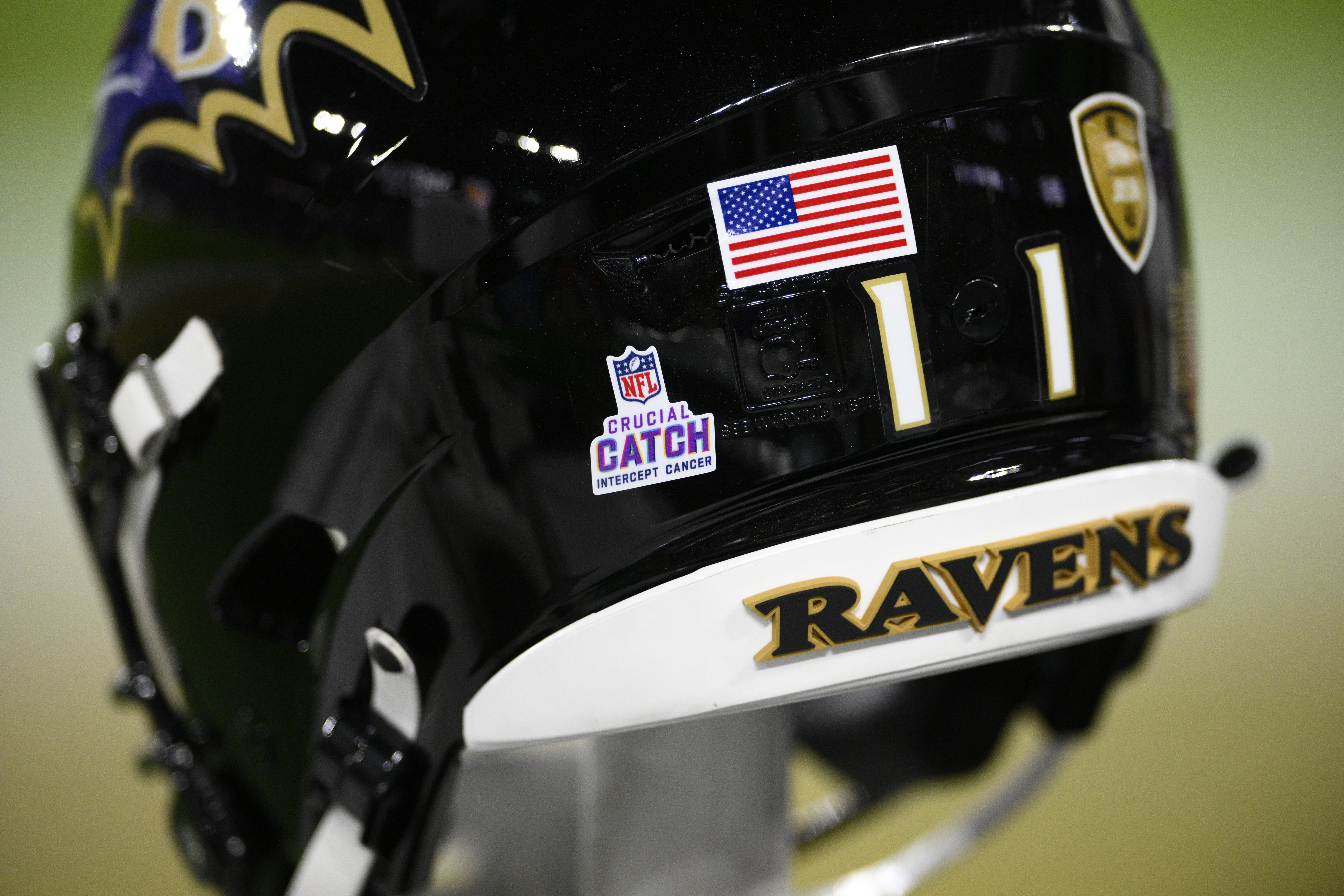 Bengals Ravens Football