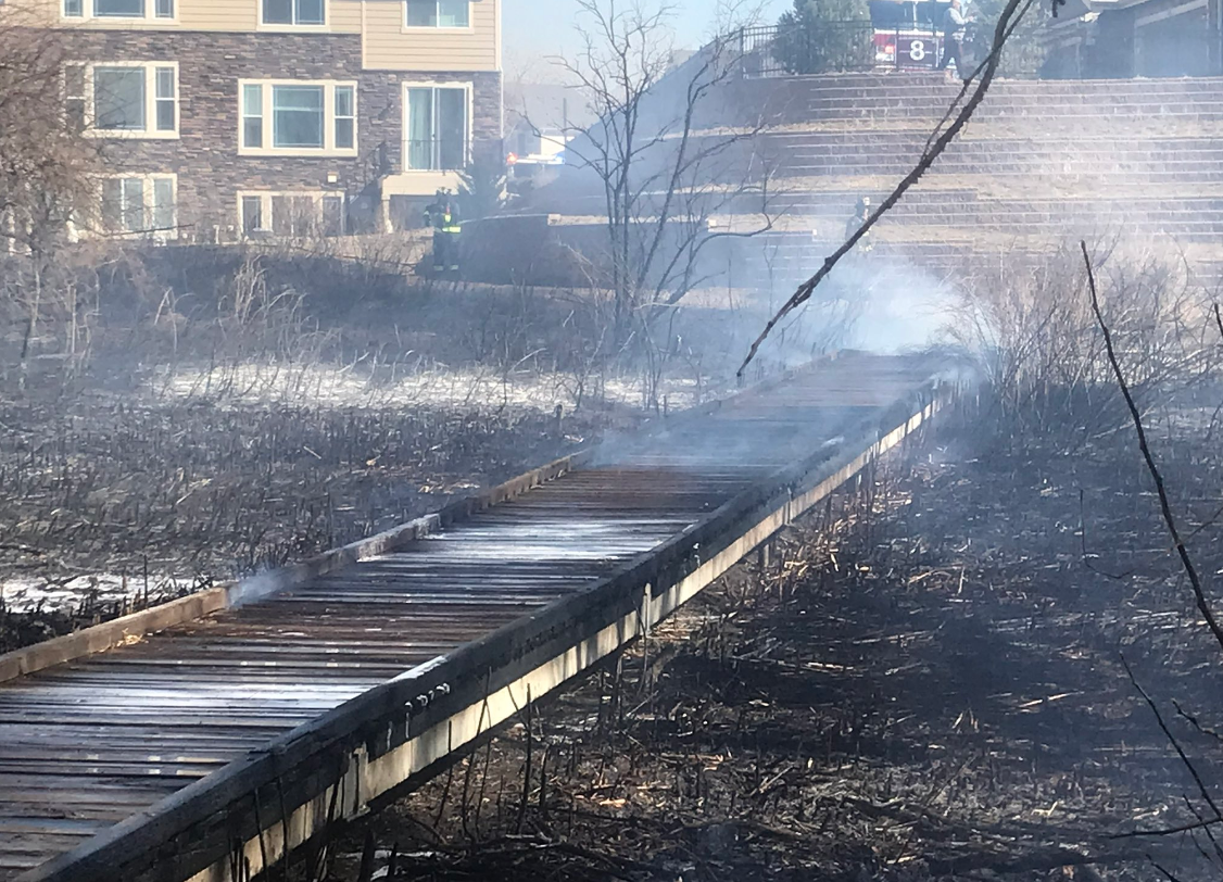 aurora grass fire 33123.png