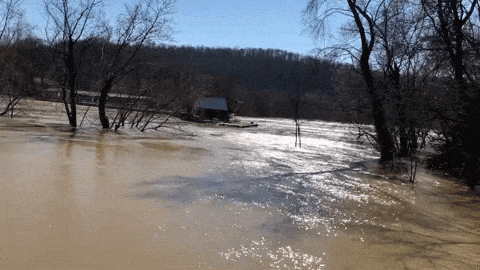 Animated GIF-downsized_large.gif