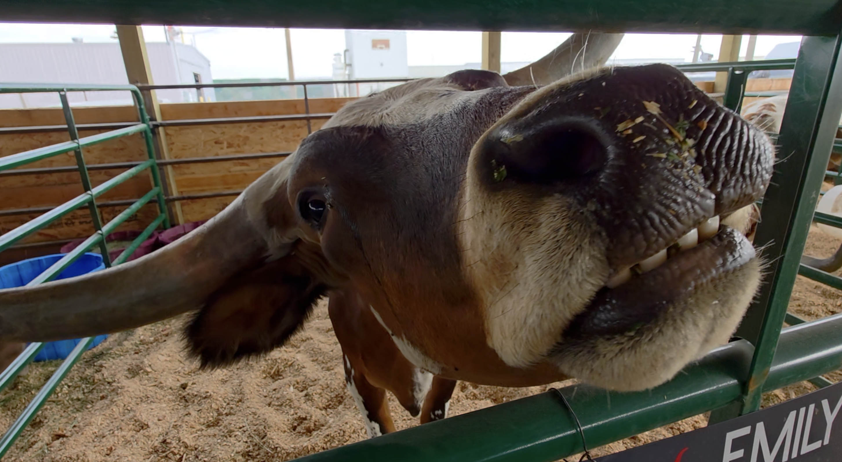 Twin Falls County Fair set to welcome the masses in Filer