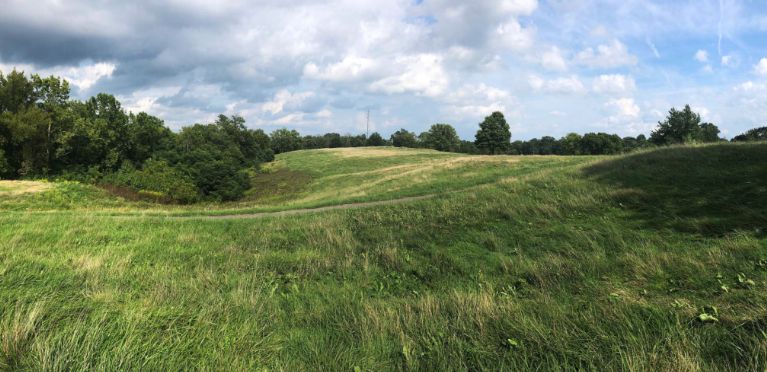 A field at New Kenton County Park. Photo provided | Kenton County