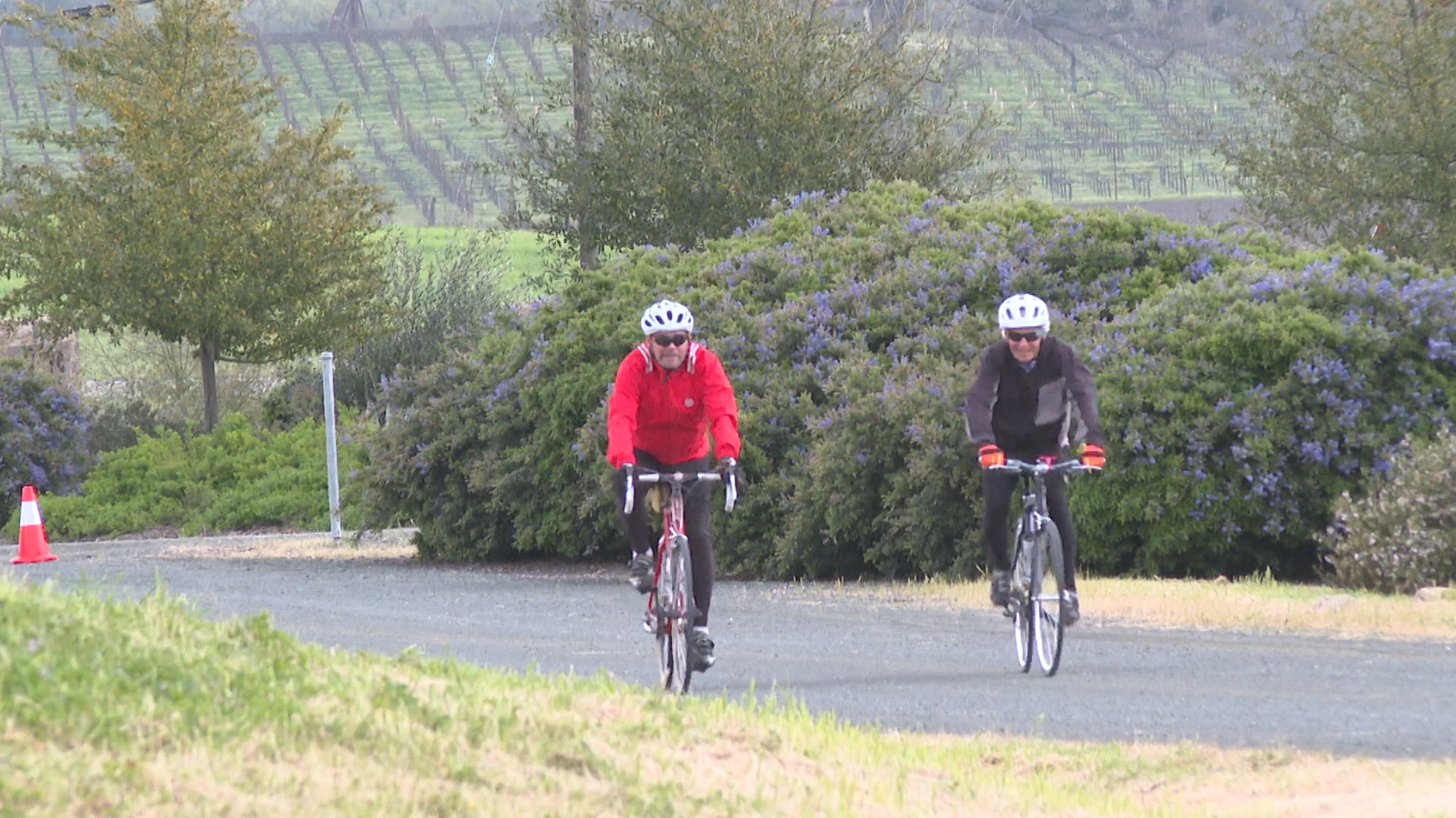 16th Annual Tour of Paso bike ride.png