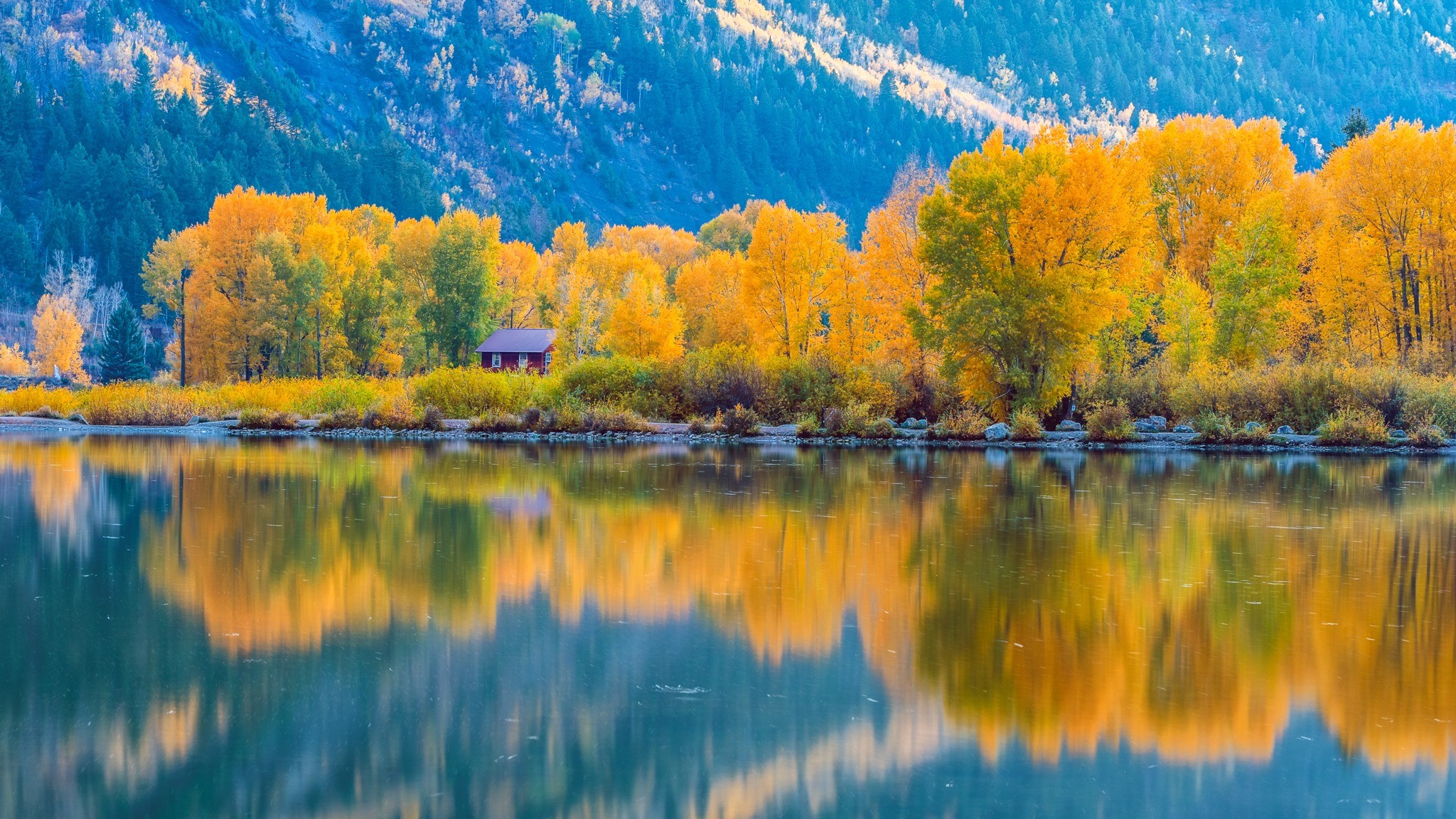 Near Marble Daniel Forster