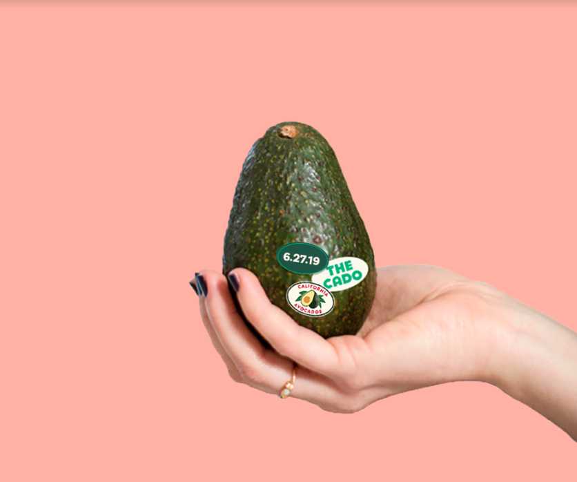Interactive avocado-themed museum popping up in San Marcos