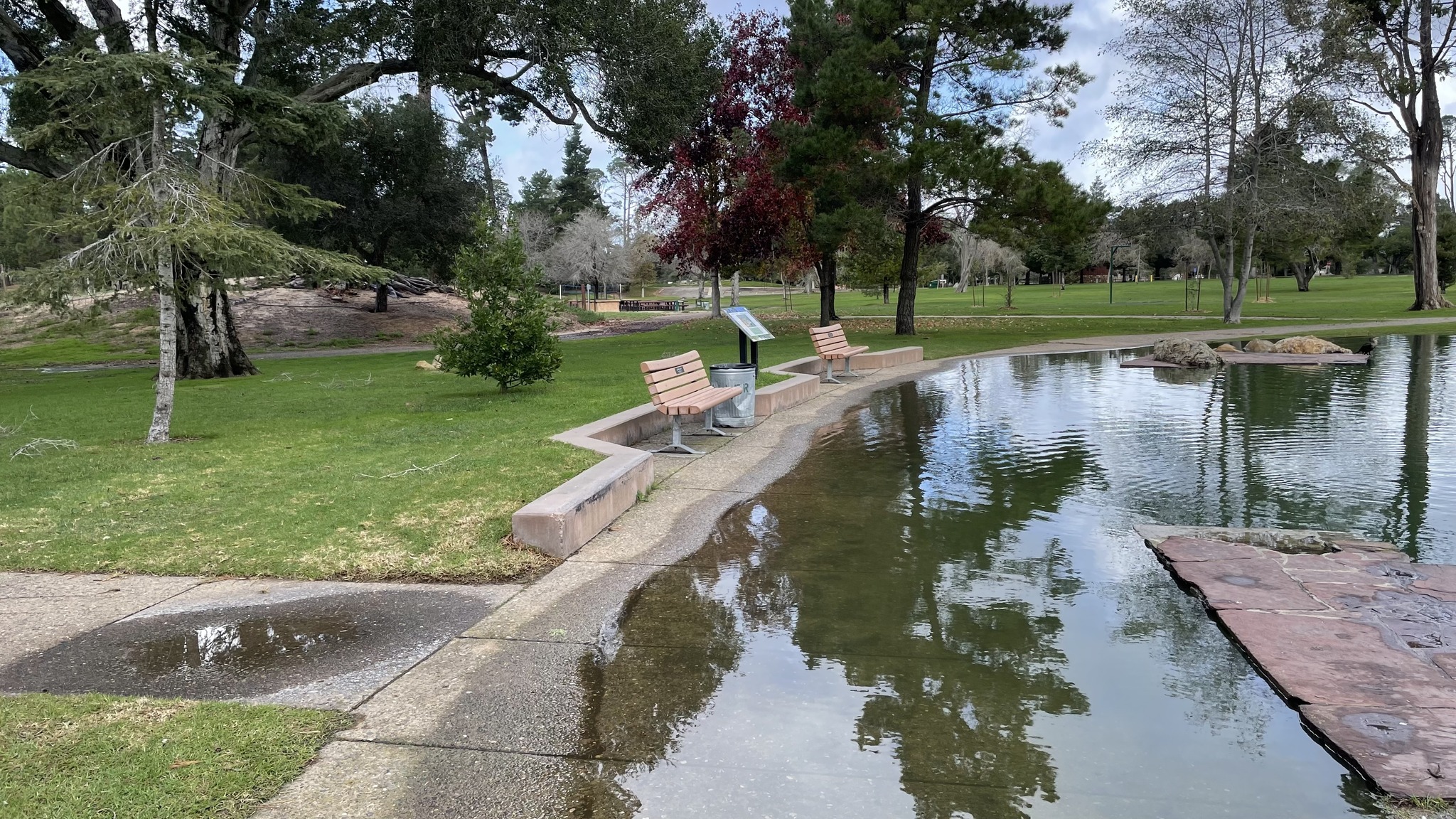 Flooding on the Central Coast