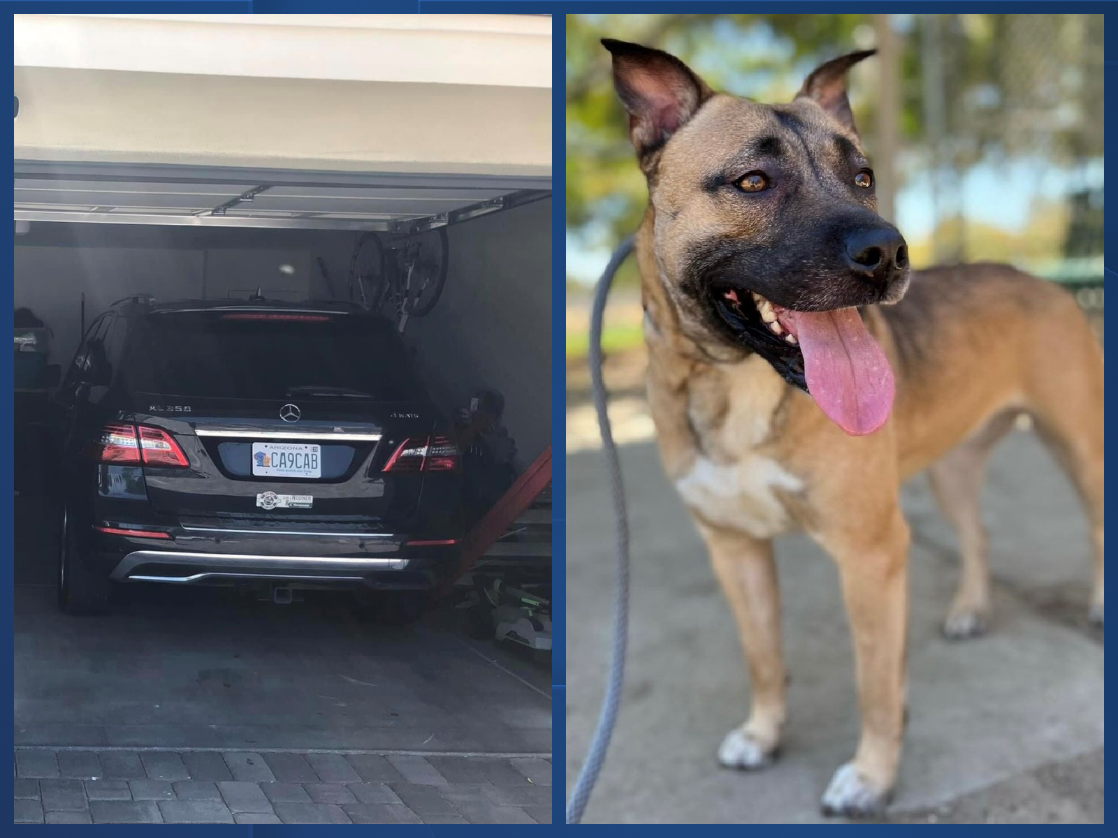 Blue Background copy 6.png