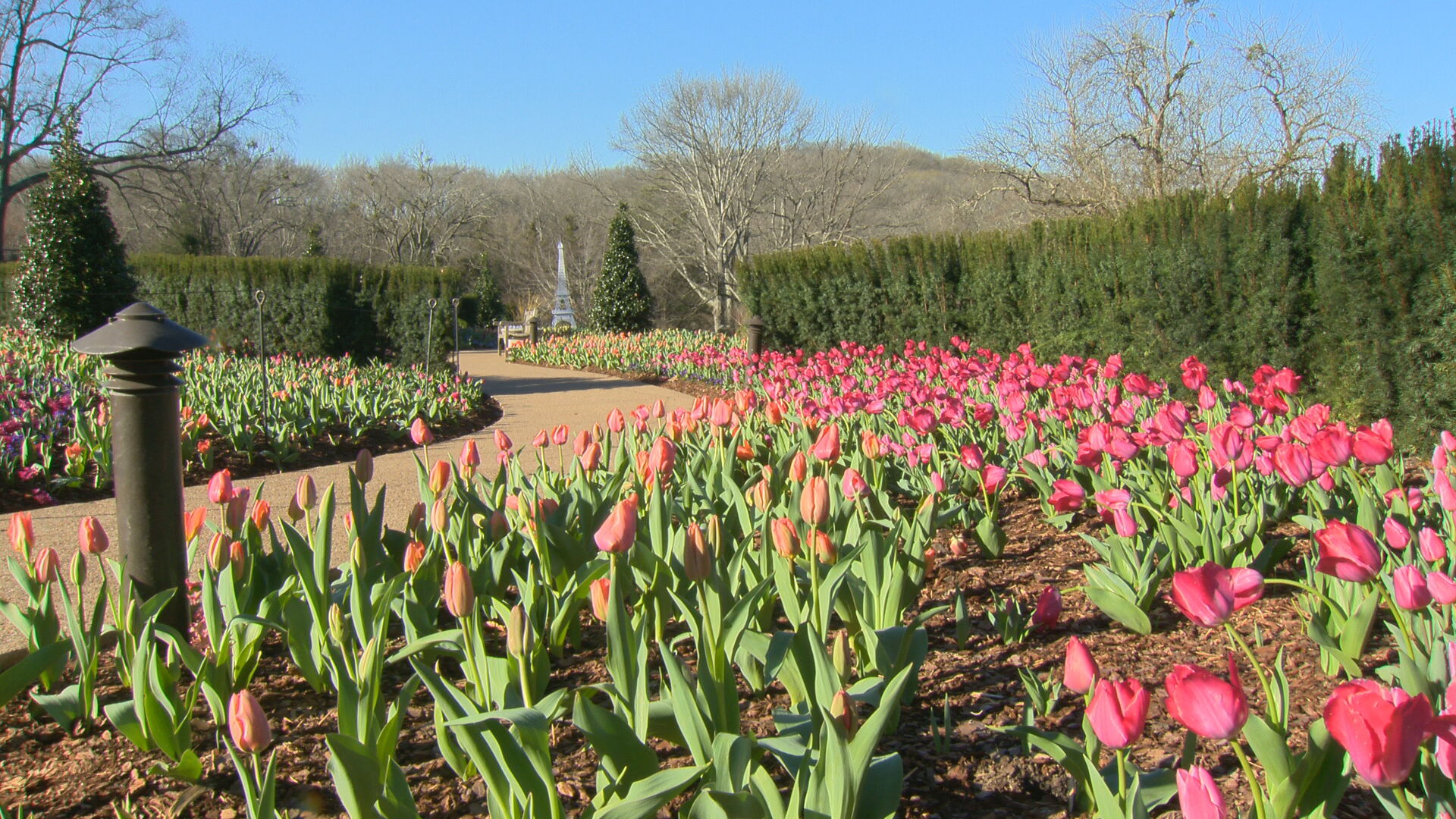 cheekwood.jpeg