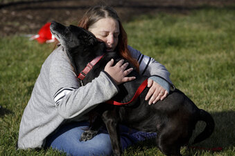 3 years later, dog and Michigan owners reunited in Illinois