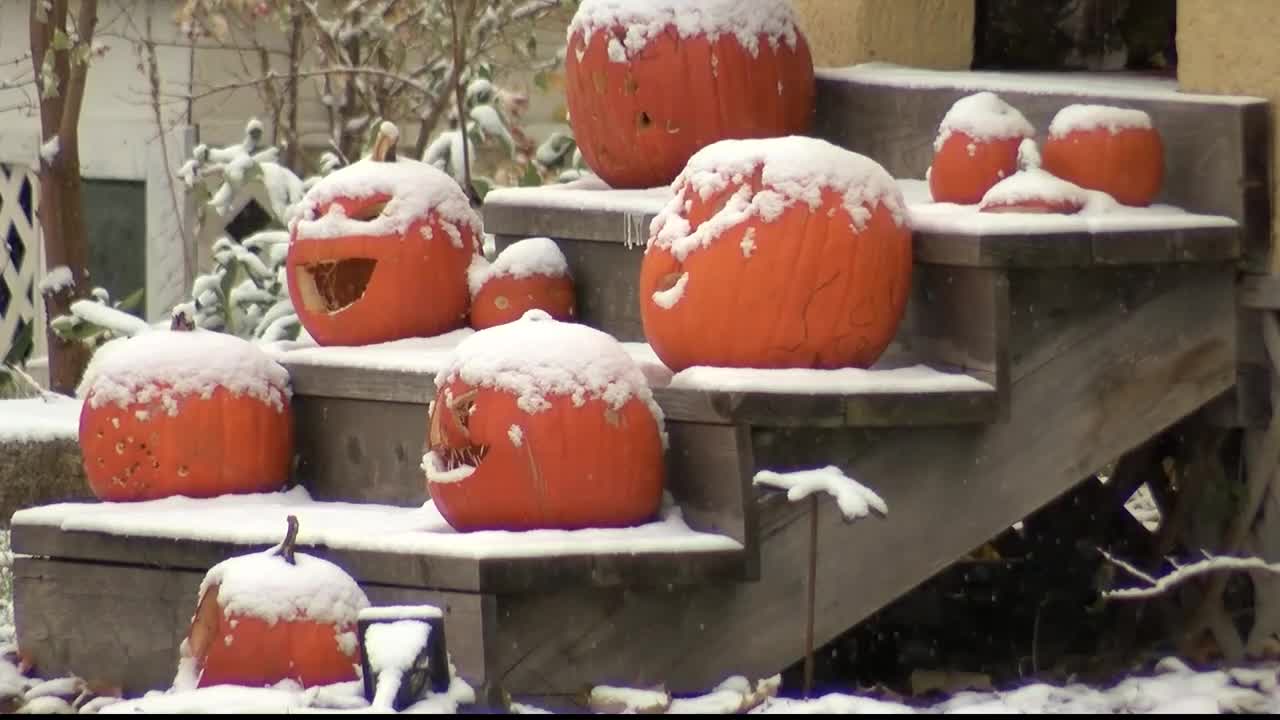 Snowy Pumpkins
