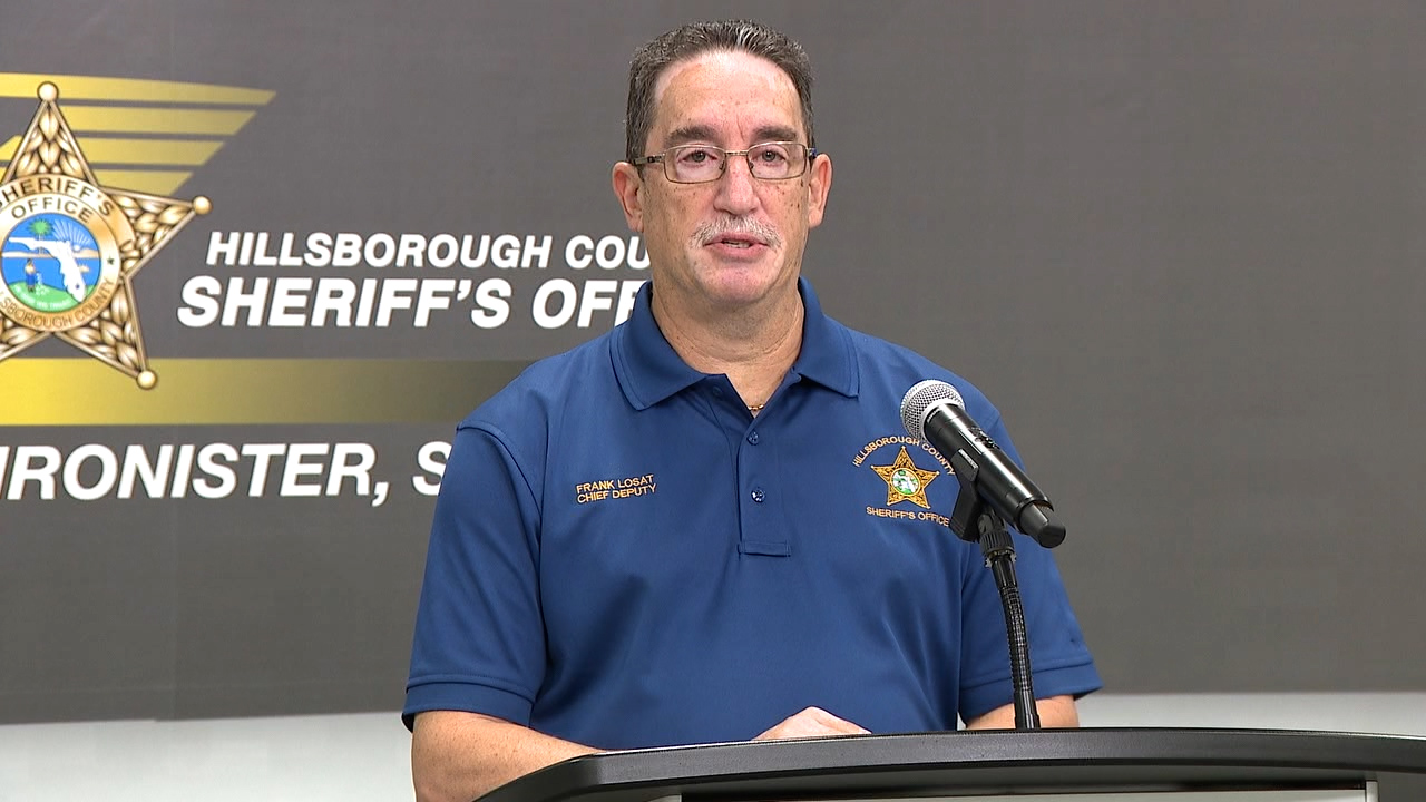 hcso domestic violence