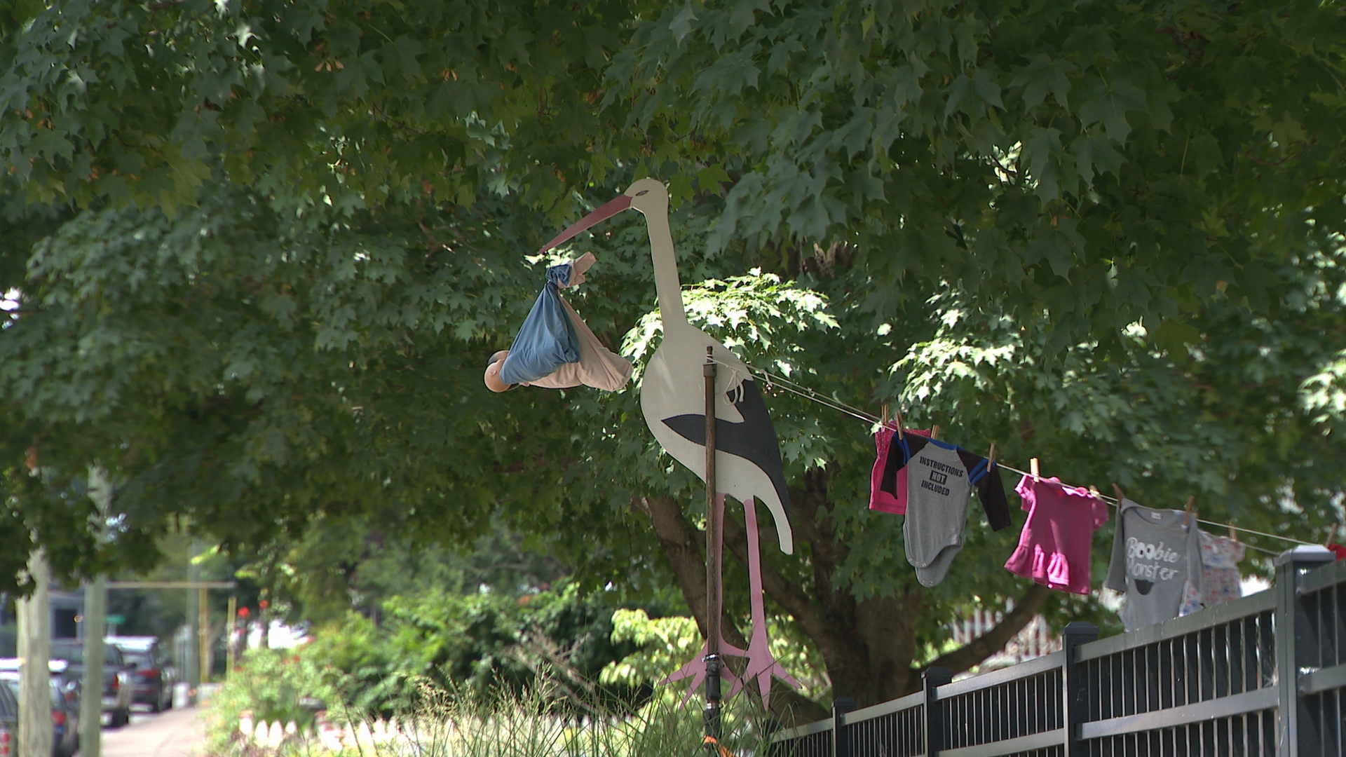 East Nashville stork