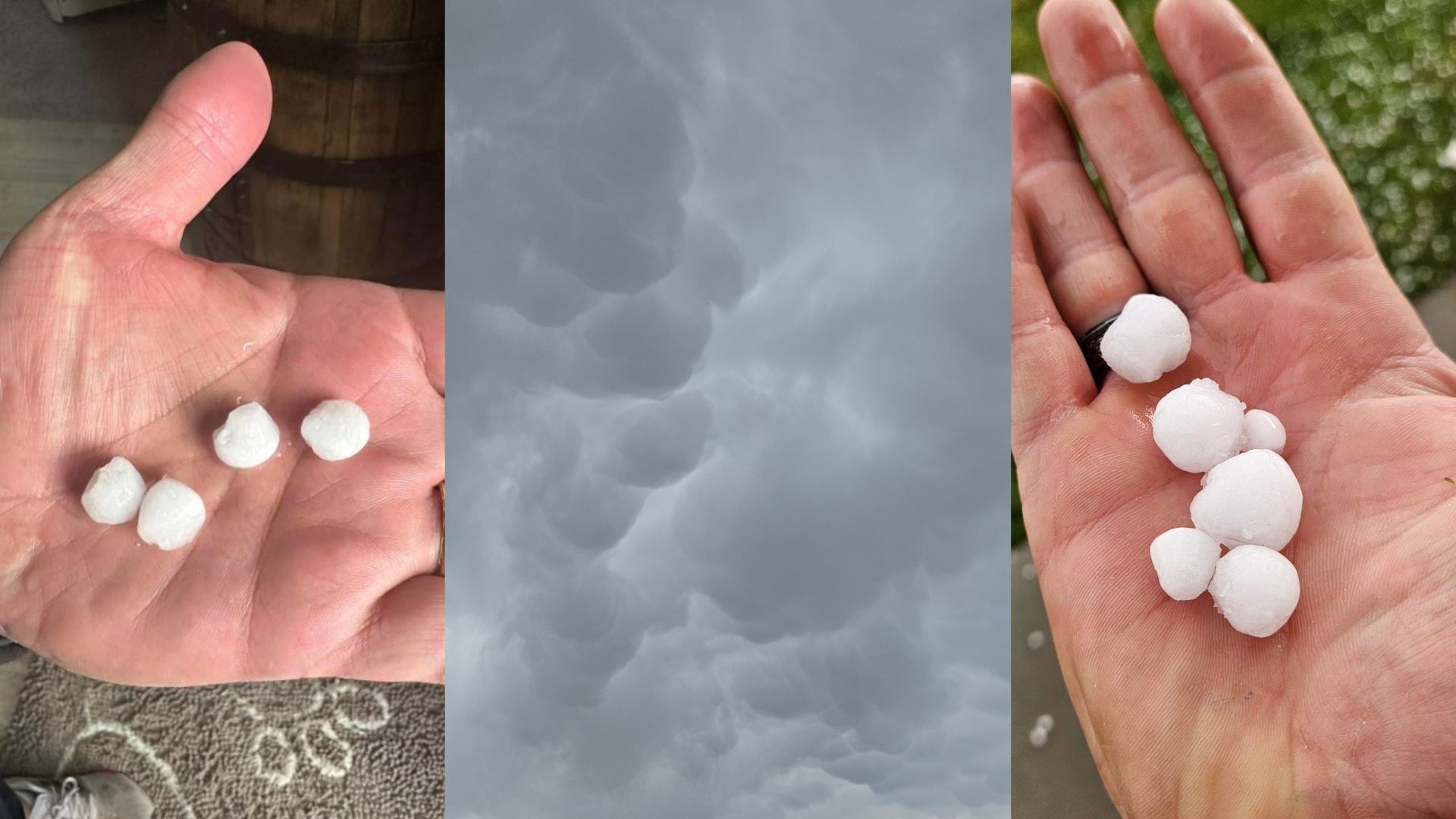 Cover images (23).jpg