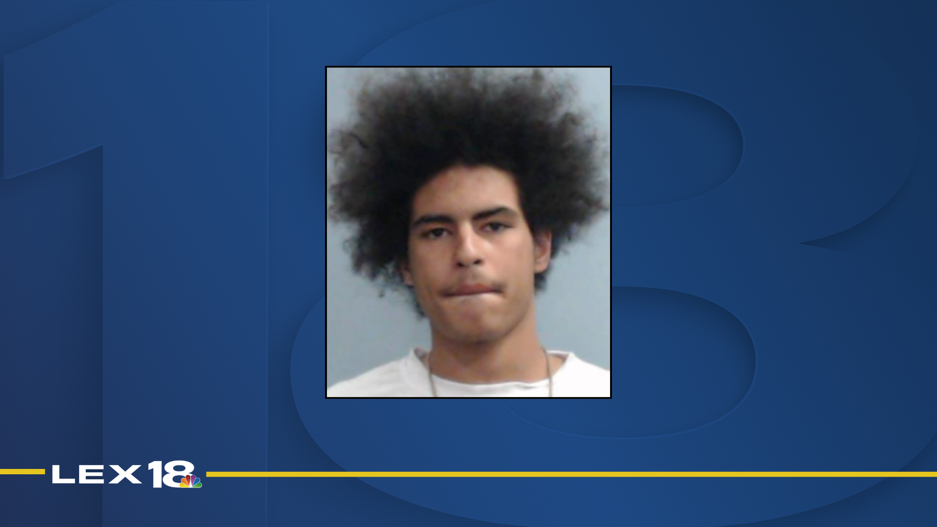 mugshot template  - 2025-12-10T084144.512.png