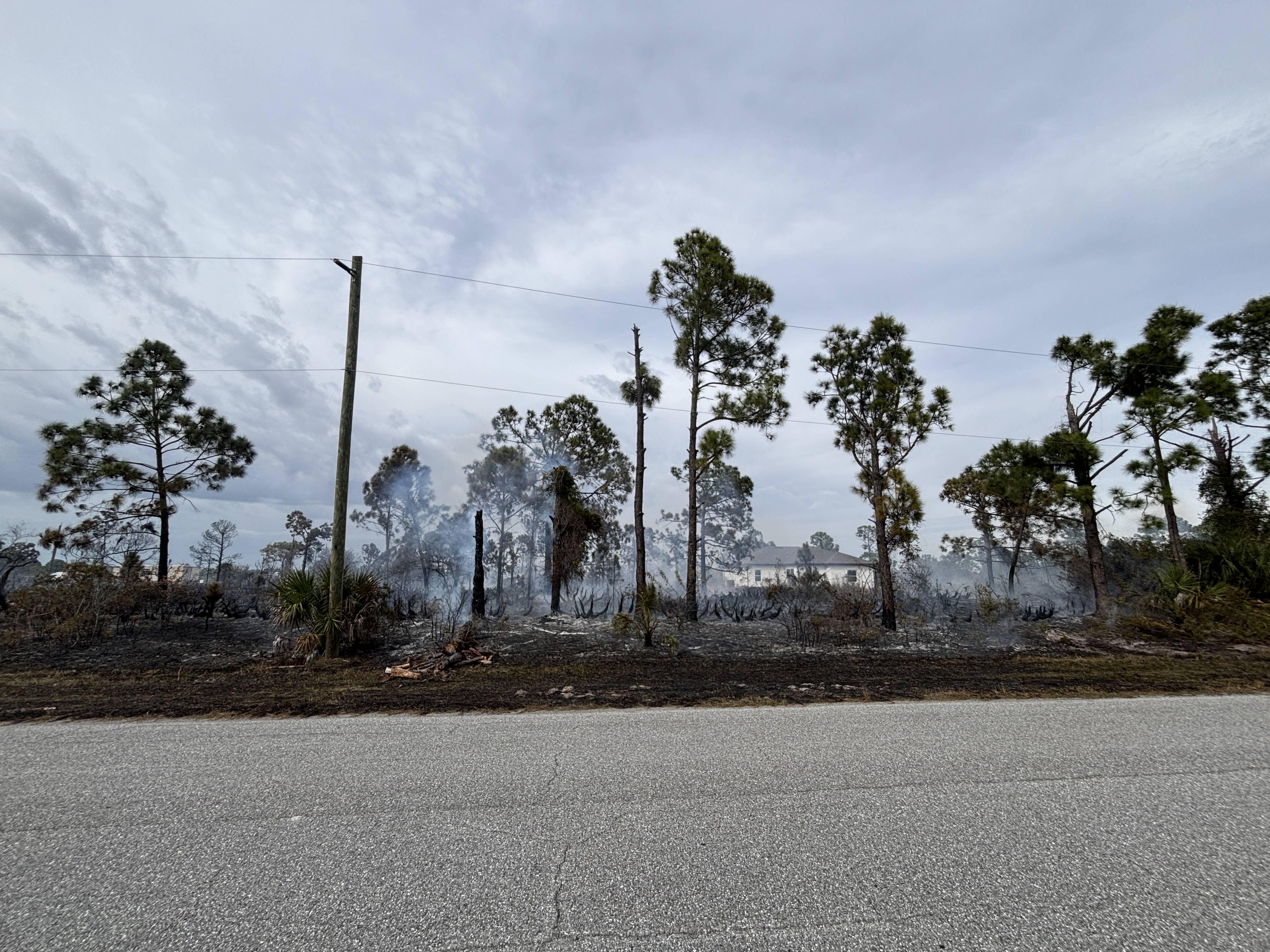 Gulf Cove brush fire