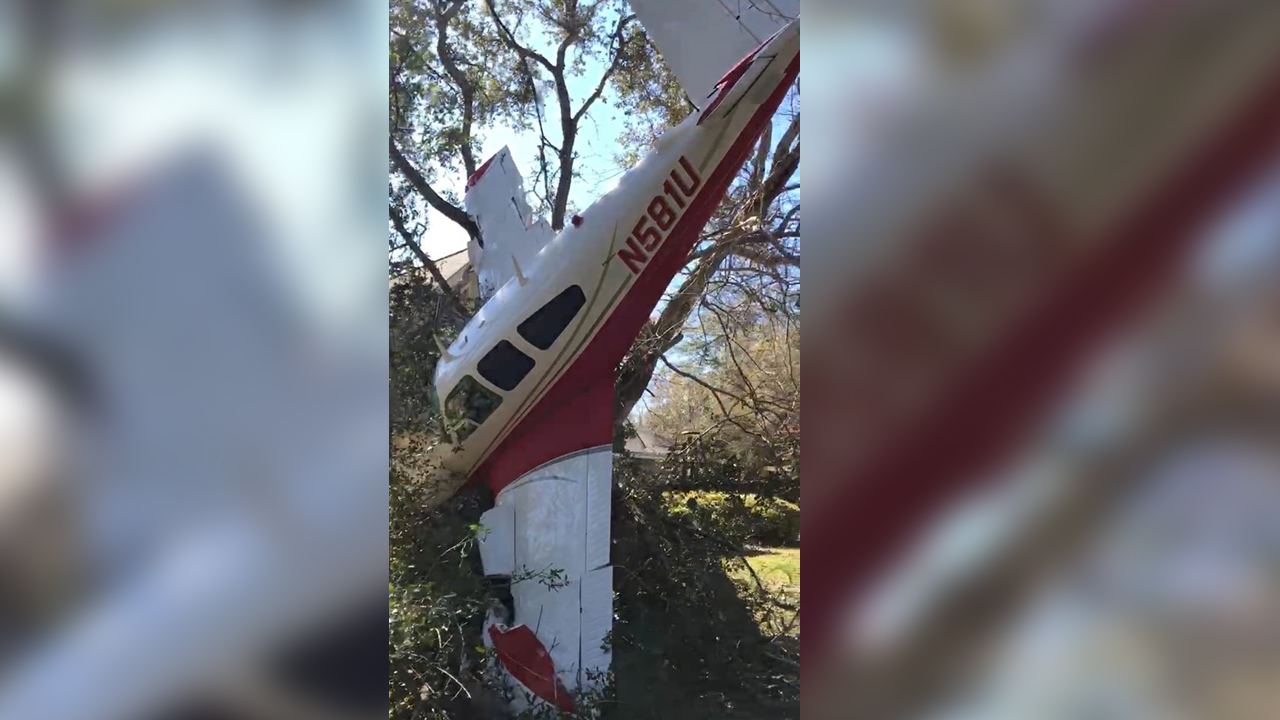 wptv-plane-crashes-tree.jpg