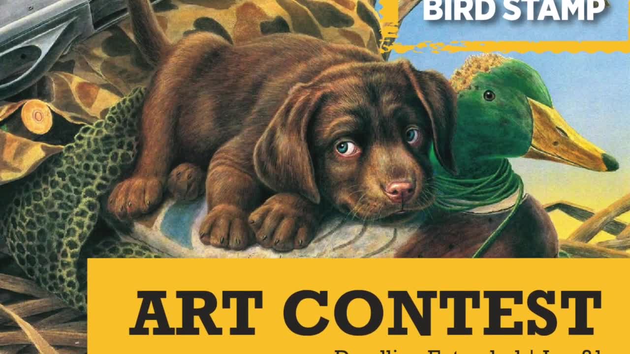 fwp art contest.jpg