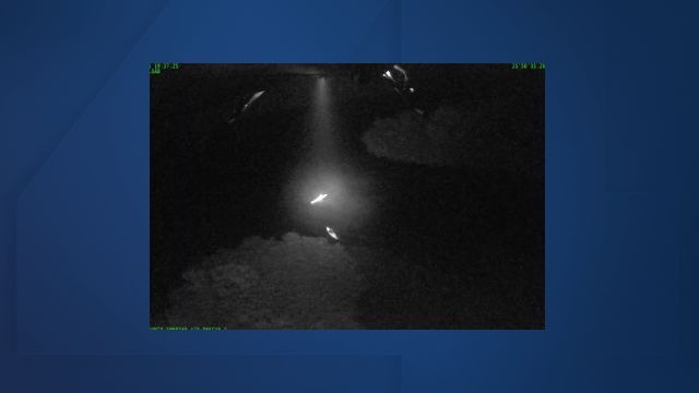 Background only (24).jpg