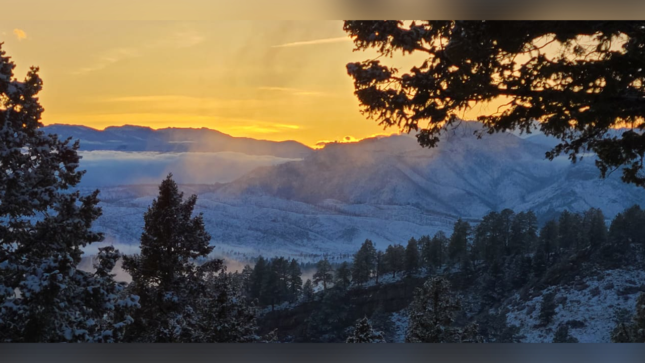 Rigewood Teller County