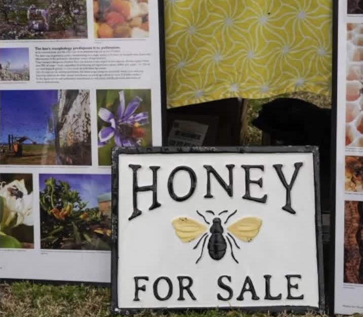 Bakersfield Bee Day