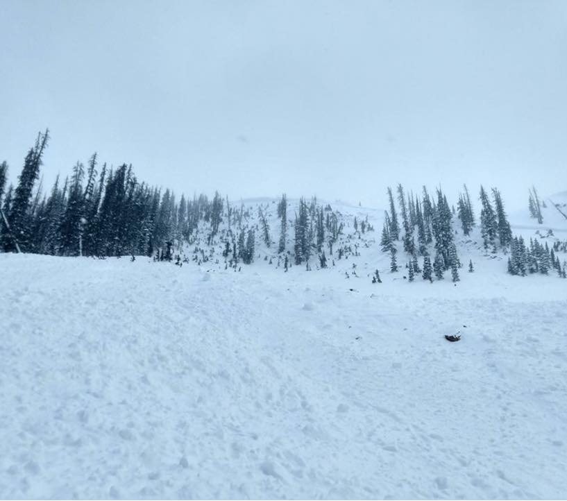 avalanche in chaffee county march 10_2022.jpg