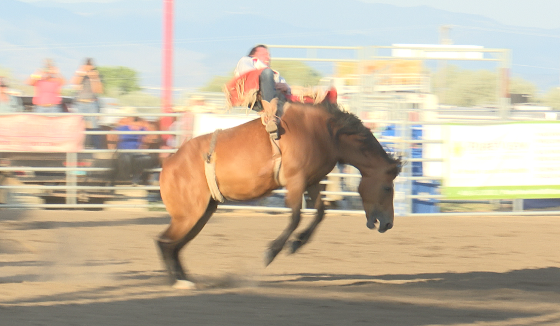 Last Chance Stampede day 2: Highlights and Results