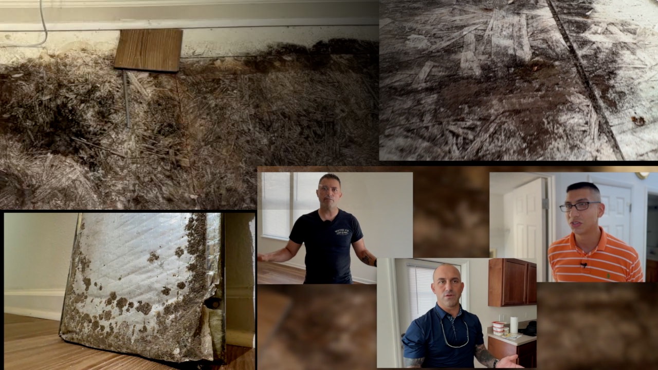 Military families file lawsuit against privatized base housing owner at MacDill over 'toxic mold'