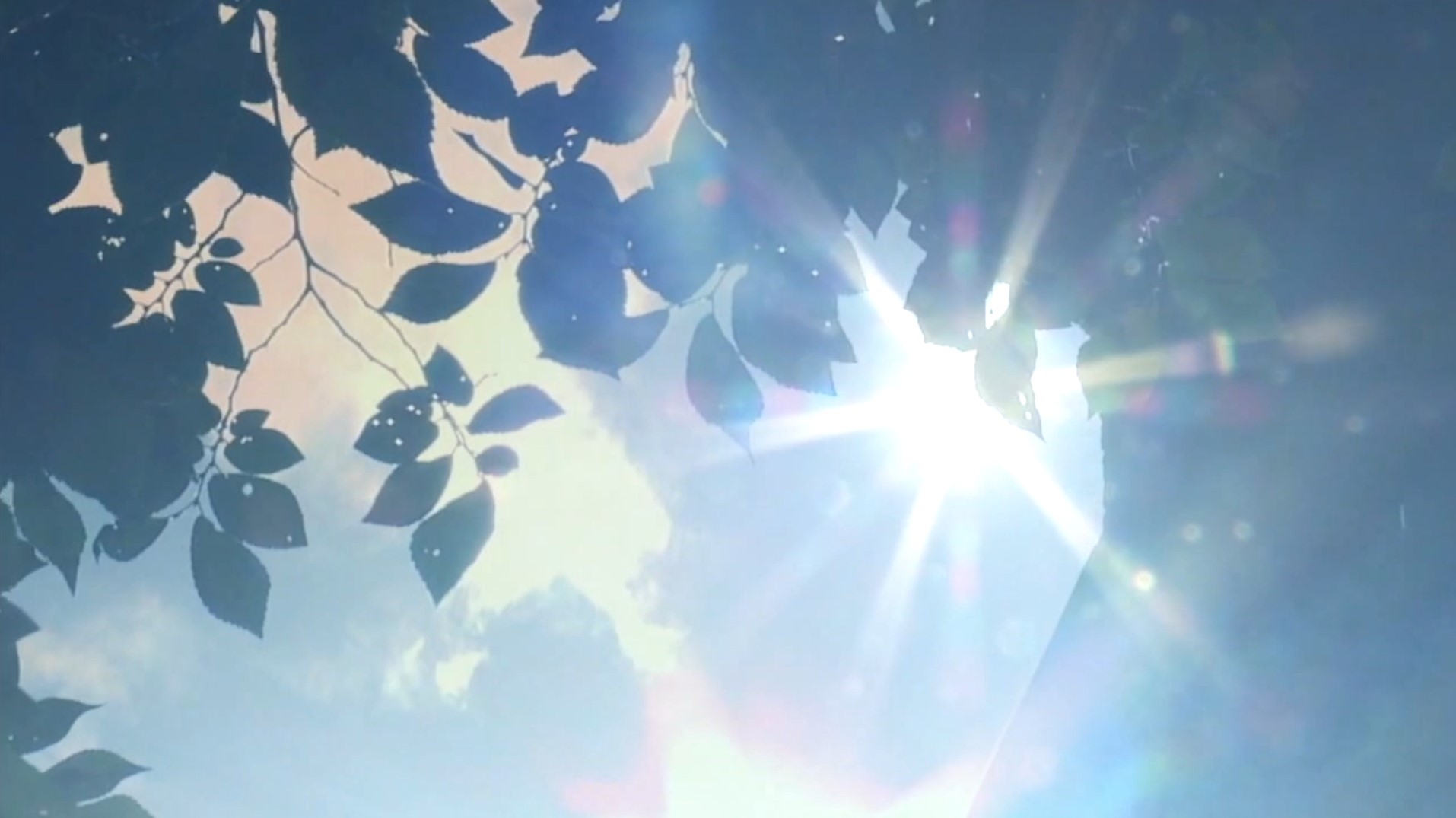 0630_sun4.jpg