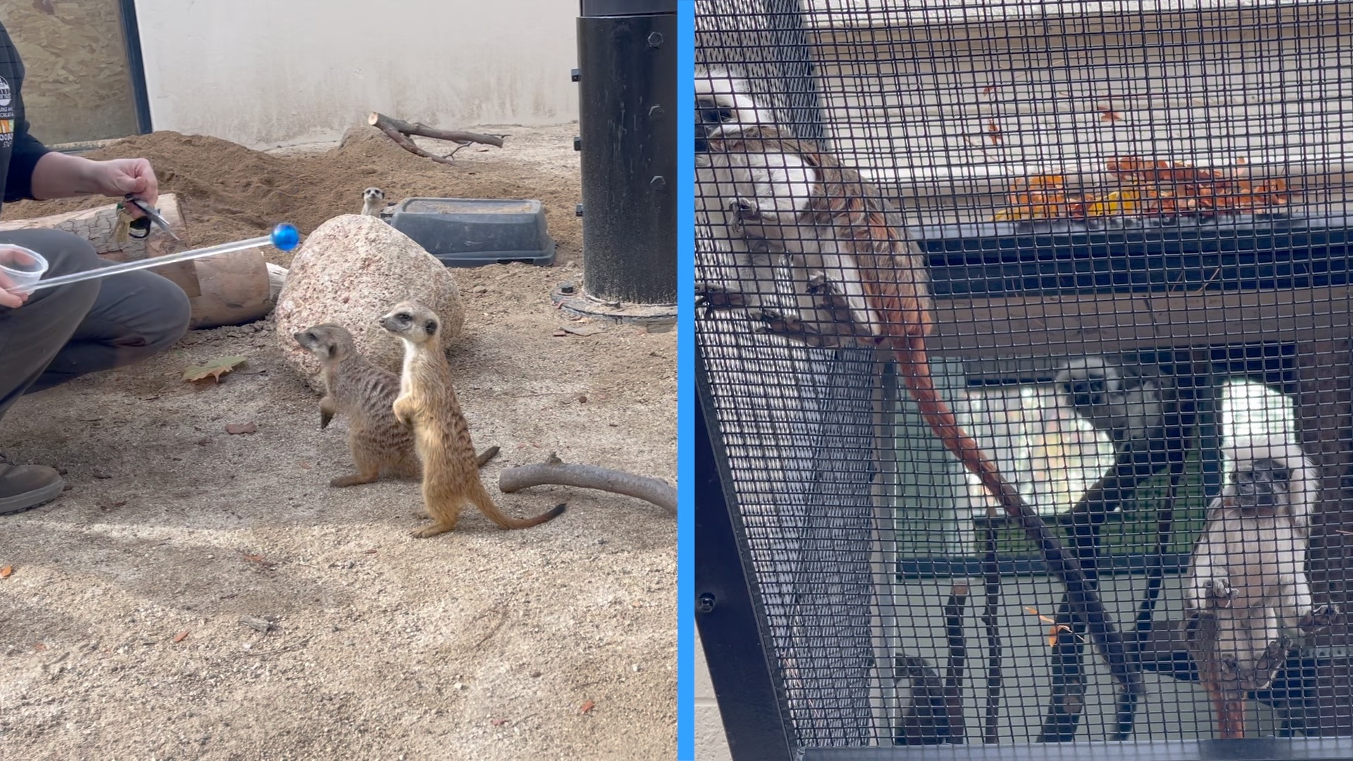 ZOO EXHIBIT PHOTO.jpg