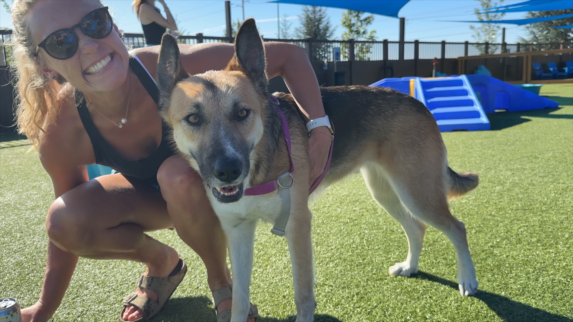 MII DOG PARK BAR PKG.jpg