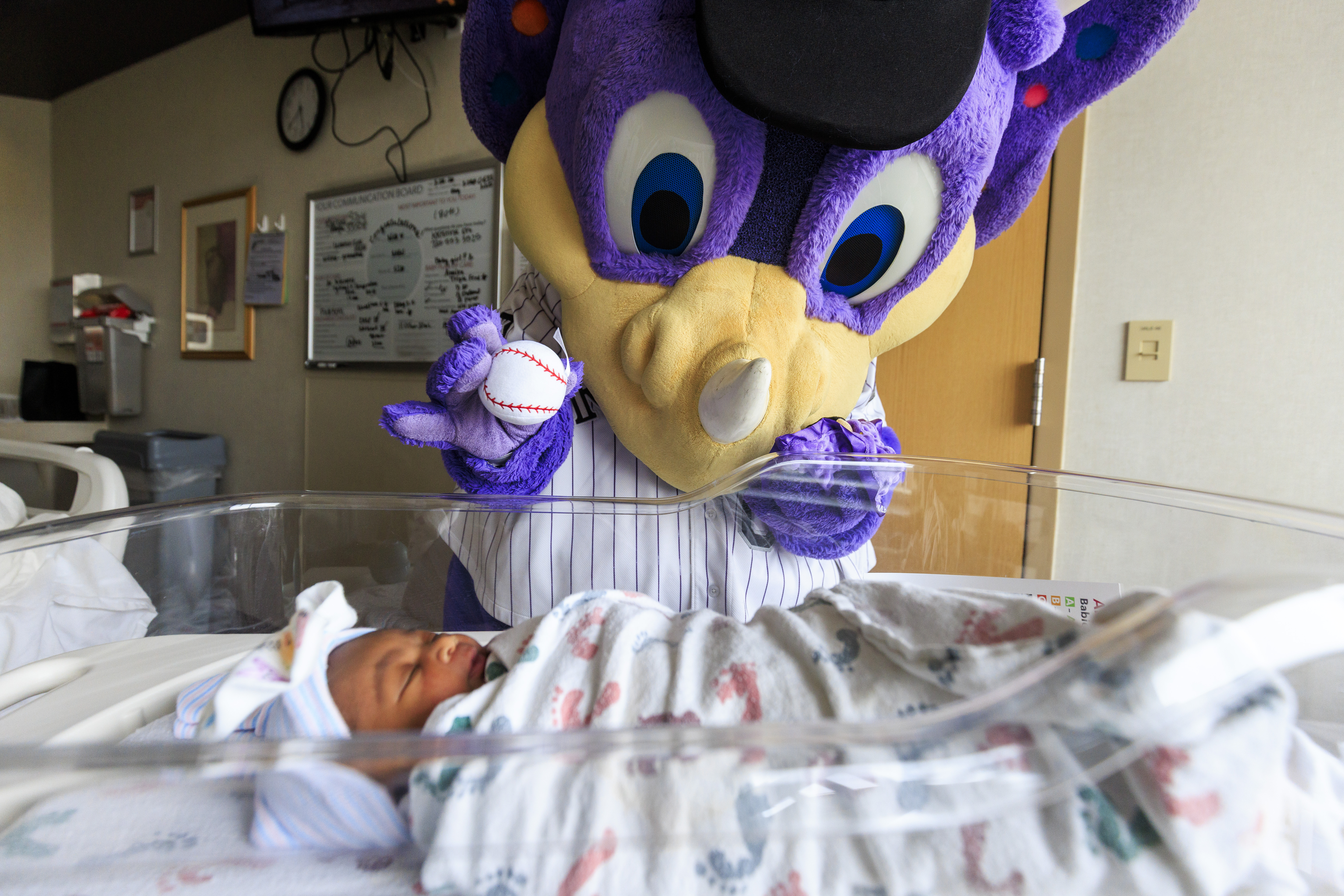 Dinger at the Hospital