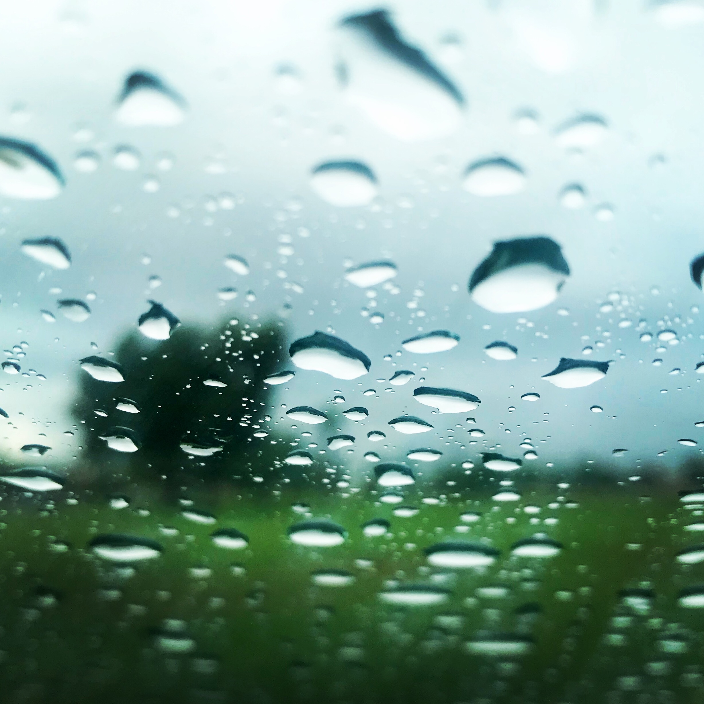Rain abc15 