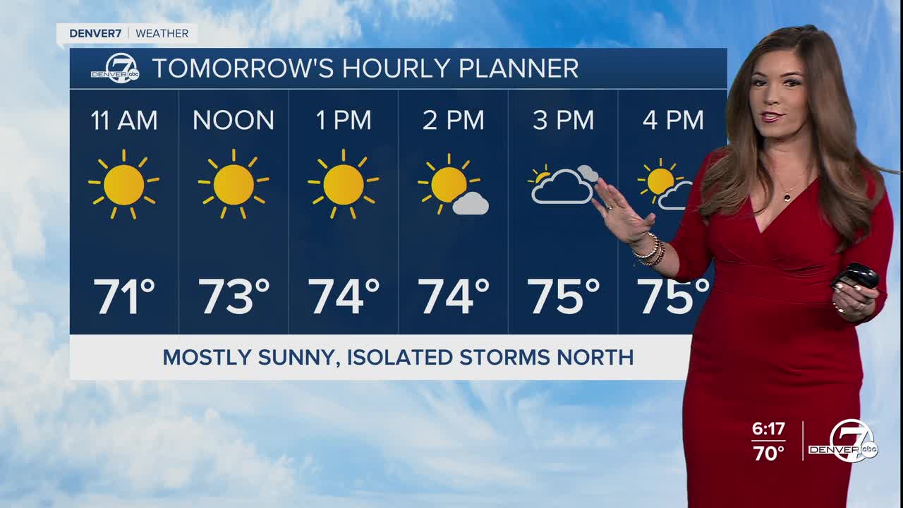 Denver's Hourly Planner for Saturday