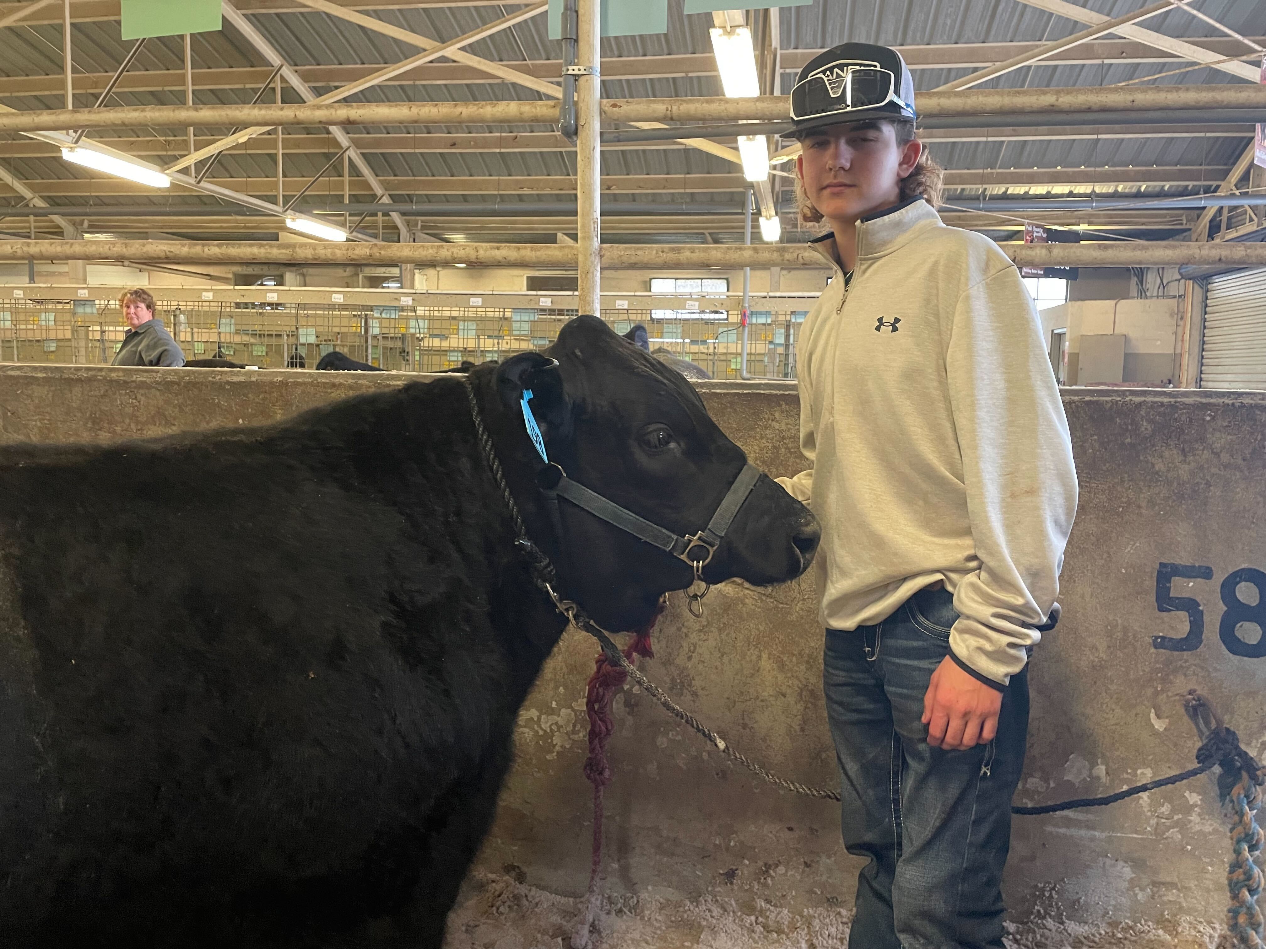 Teen and steer