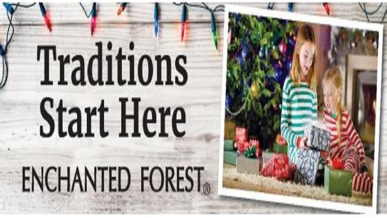 enchanted forest.JPG