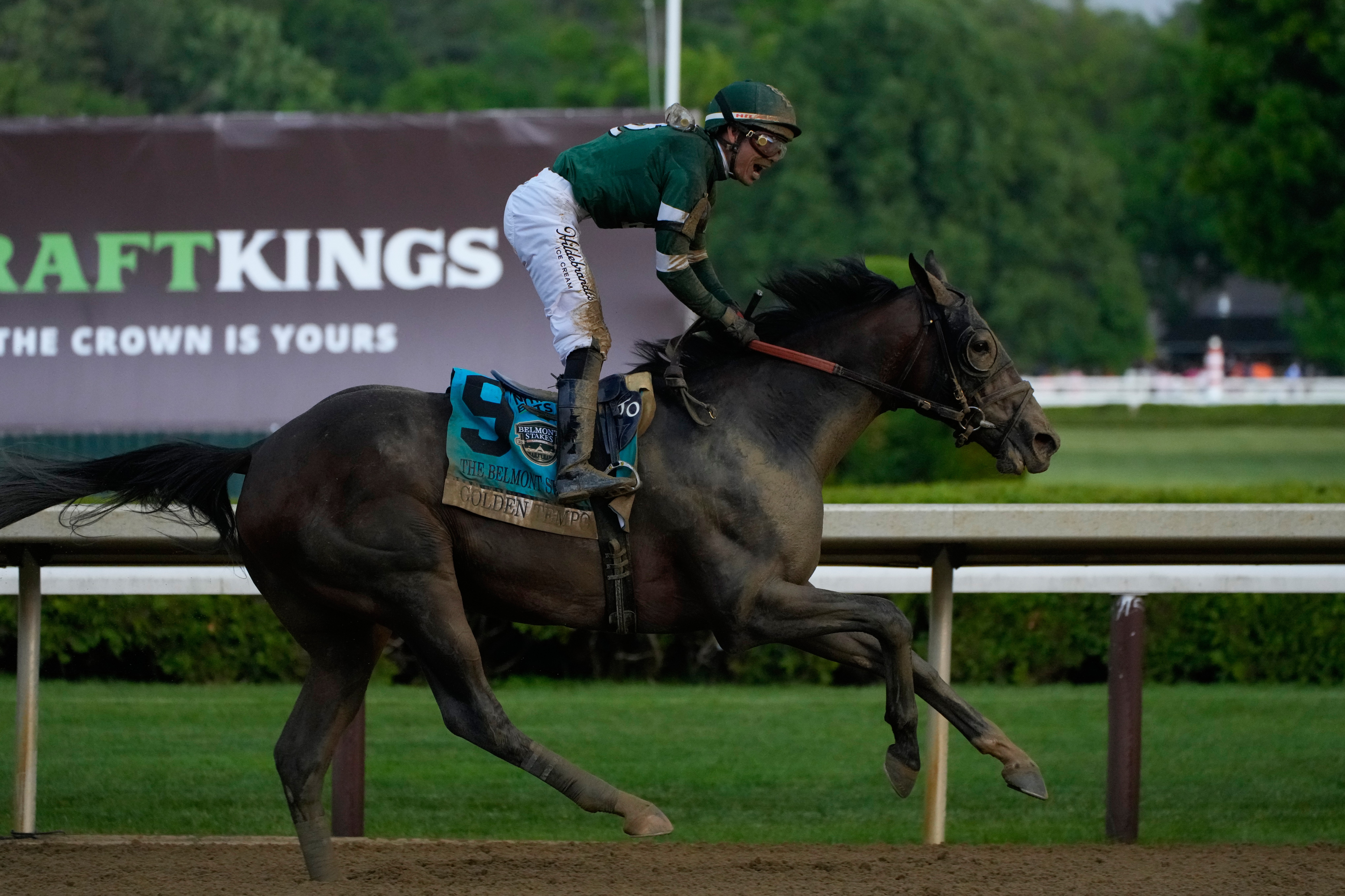 Belmont Stakes Horse Racing