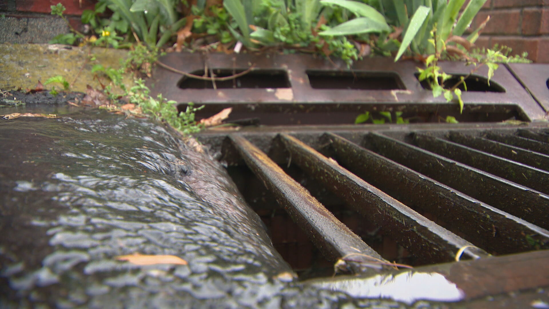 Generic weather - storm drain