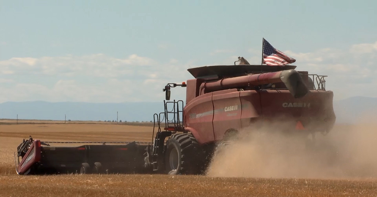 Deadline approaching for Montana farmers, ranchers to sign up for COVID relief
