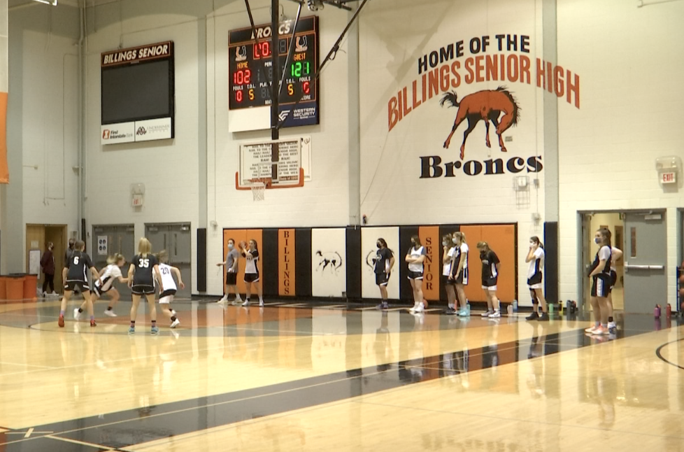 Senior GBB.png