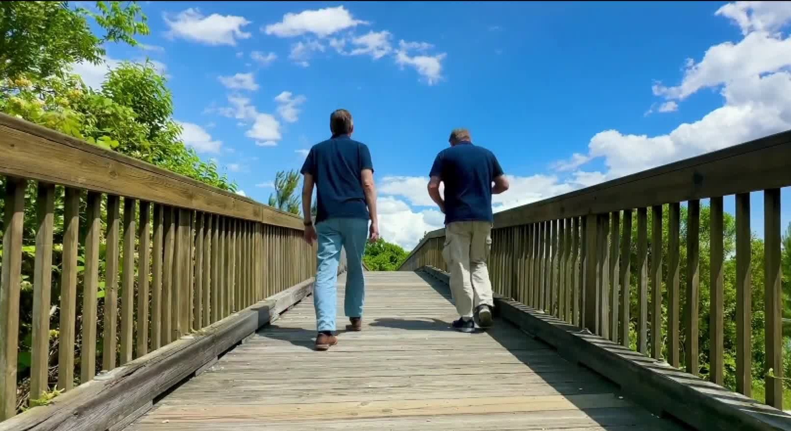 Take a Walk where trees cover sights of smokestacks at Paradise Creek Nature Park in Portsmouth
