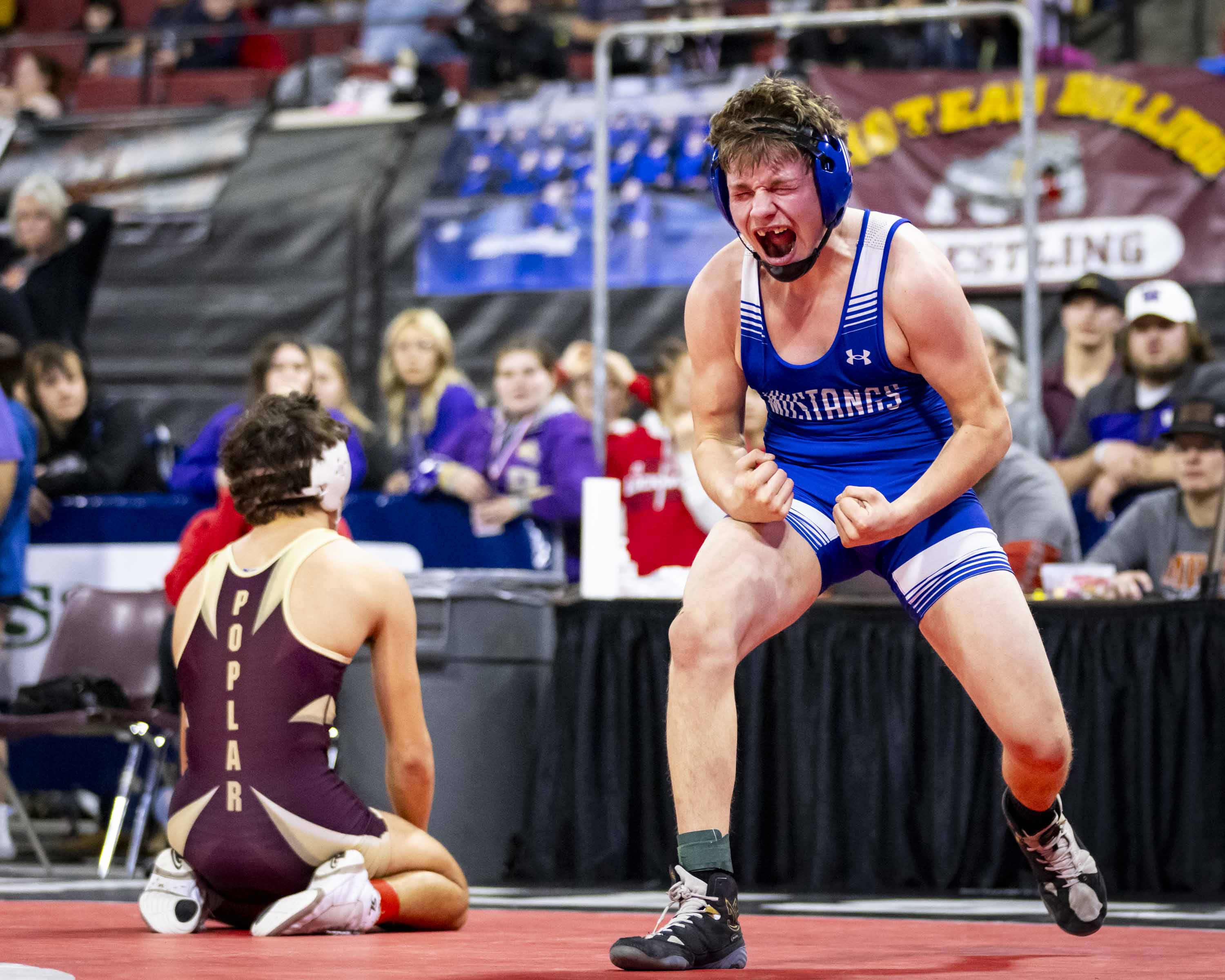 State wrestling championship matches