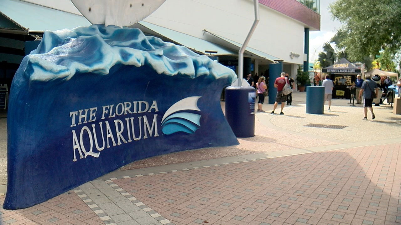 Florida-Aquarium-WFTS.jpg
