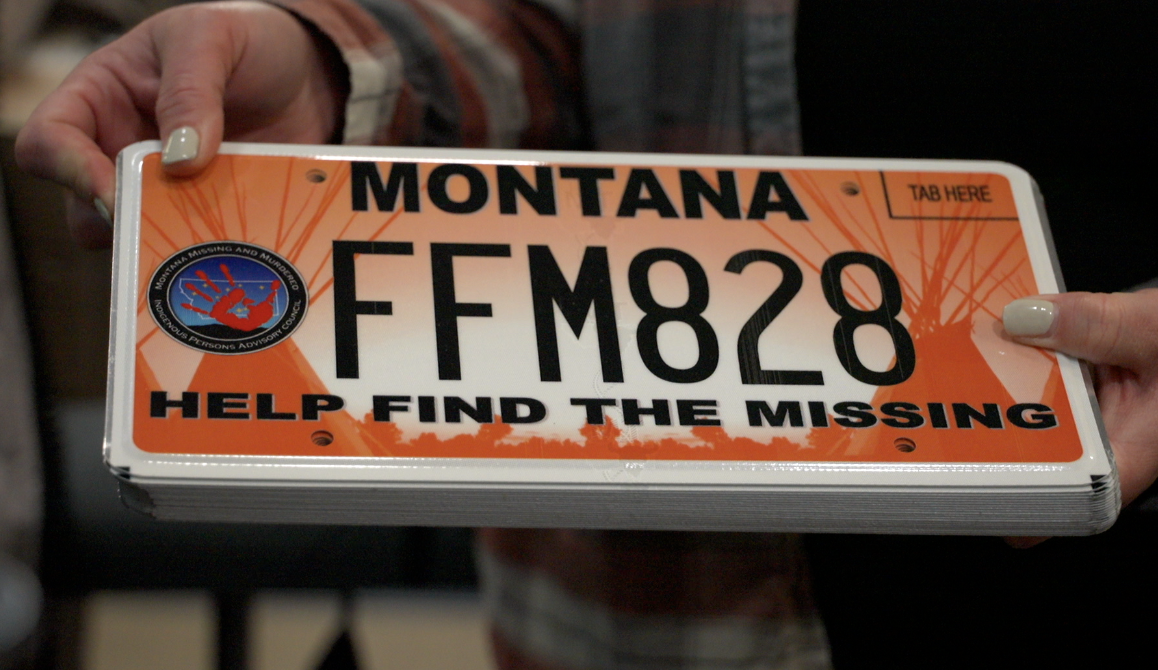MMIP Plates
