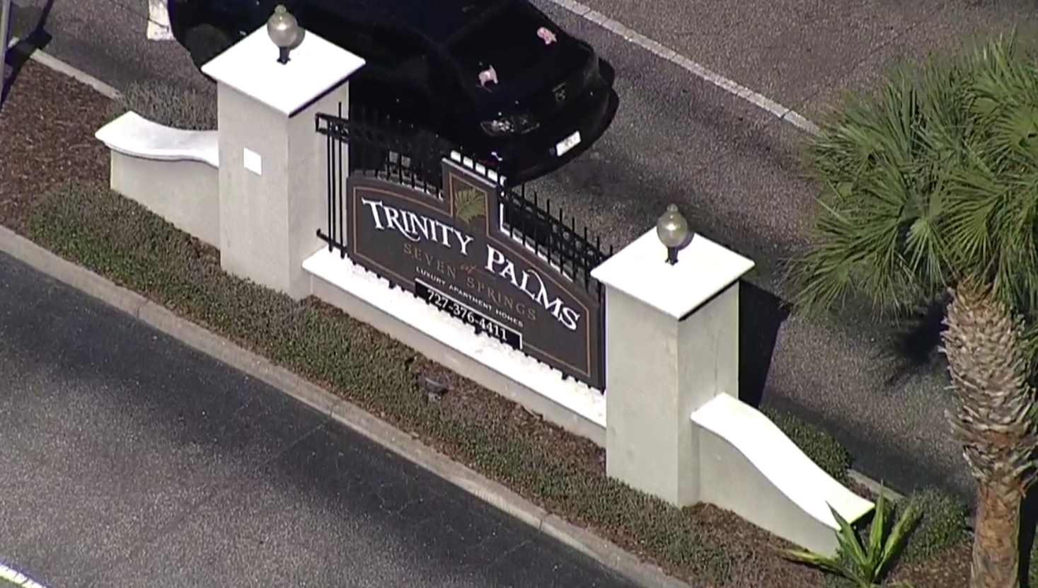 Trinity Palms apartments.png