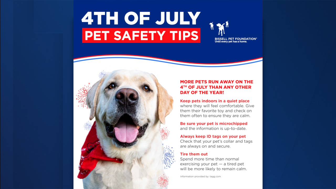 Fourth of July pet safety.png