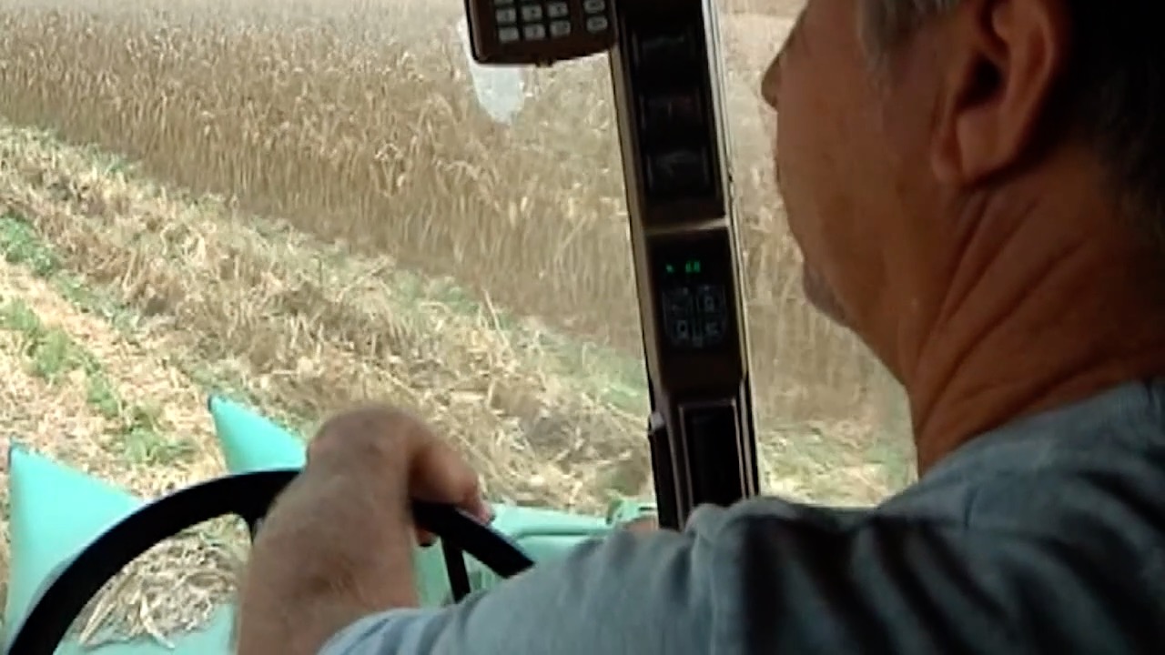 Mental health challenges in farmers 